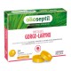 Olioseptil pastilles gorge - larynx 24 pastilles